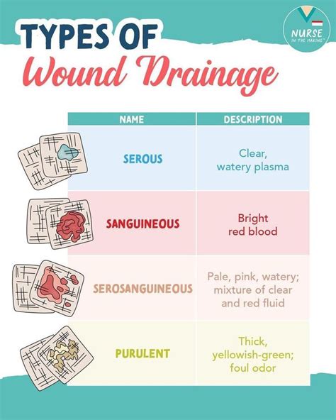 Types Of Wound Drainage And How To Tell When It Is Serious